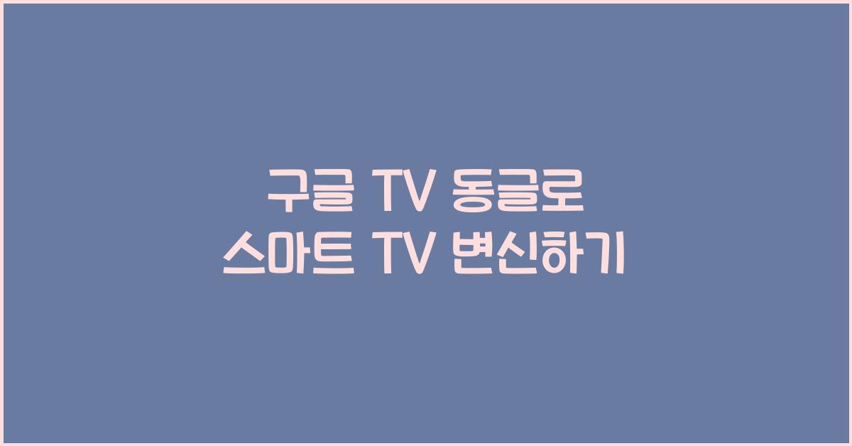 구글 tv 동글