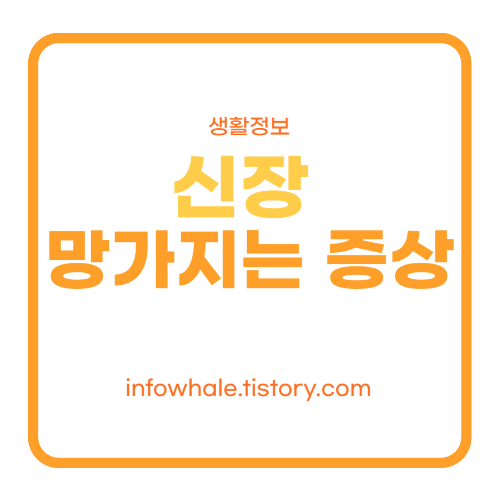 신장이안좋으면나타나는증상