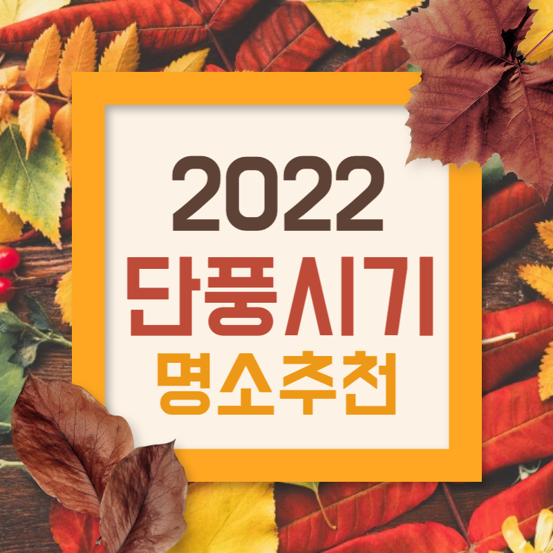 단풍시기