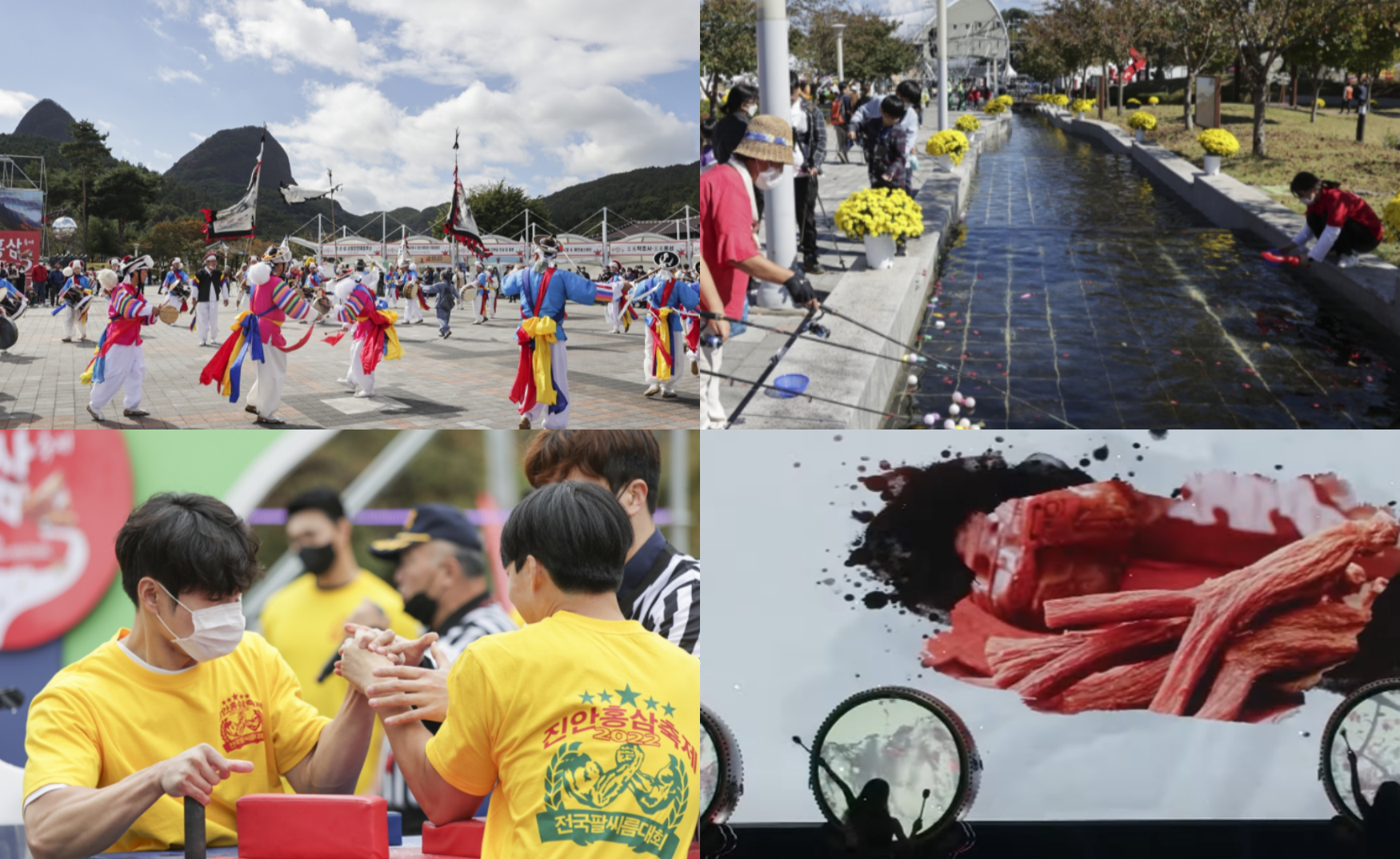 진안 홍삼축제 일정