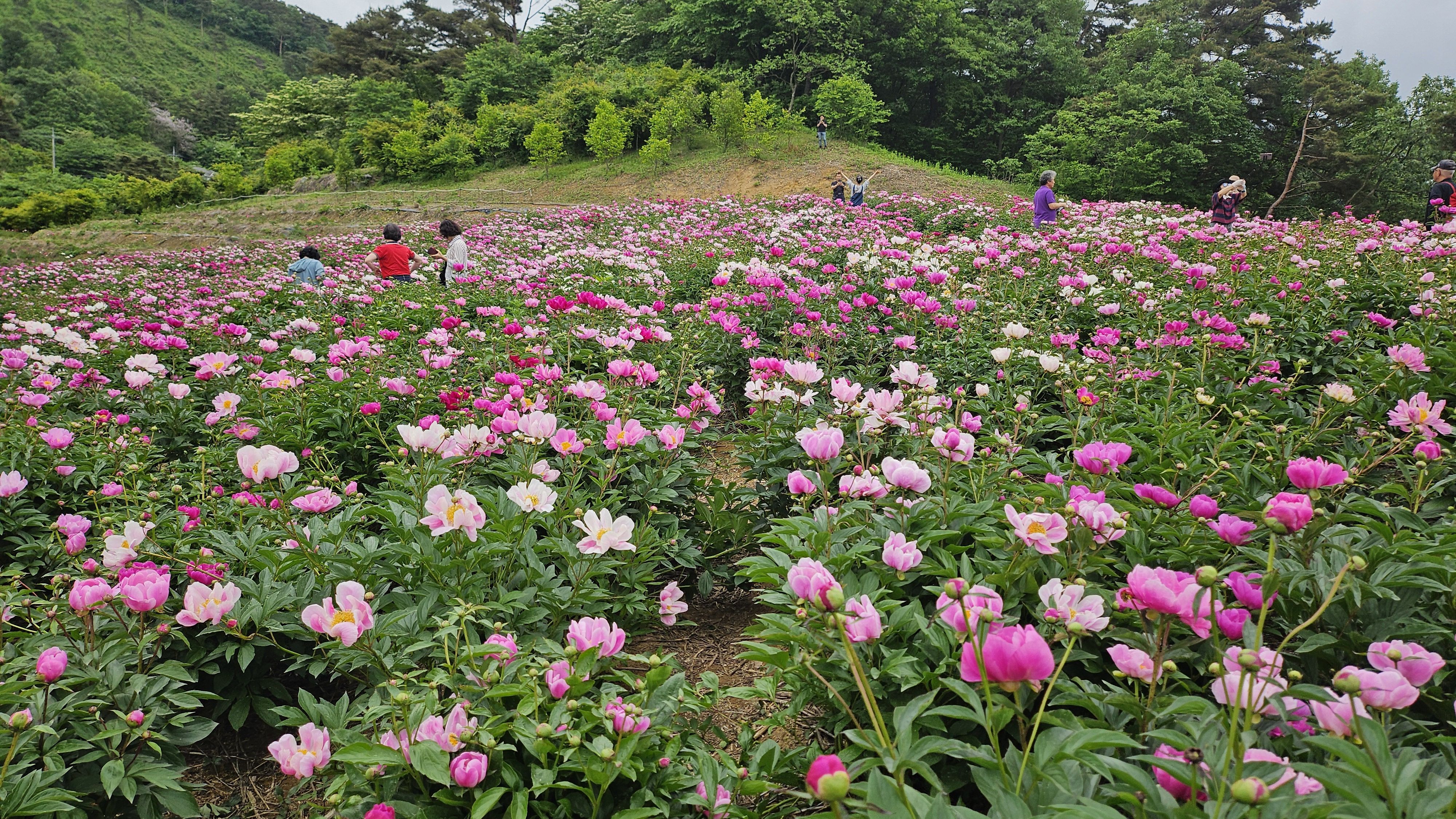 임실가볼만한곳
