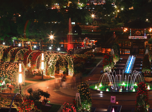 곡성세계장미축제