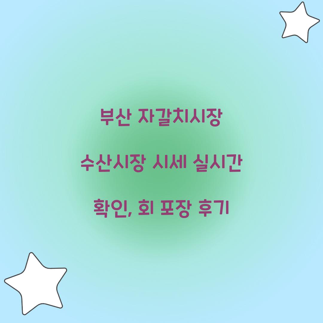 부산 자갈치시장 수산시장 시세 실시간 확인