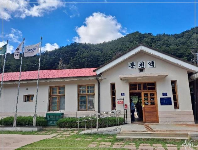 [봉화] 🎅 핀란드 진짜 산타가 떴다! '분천 산타마을' 당일치기 겨울왕국 정복 가이드 및 스케이트장&middot;공연 일정 총정리