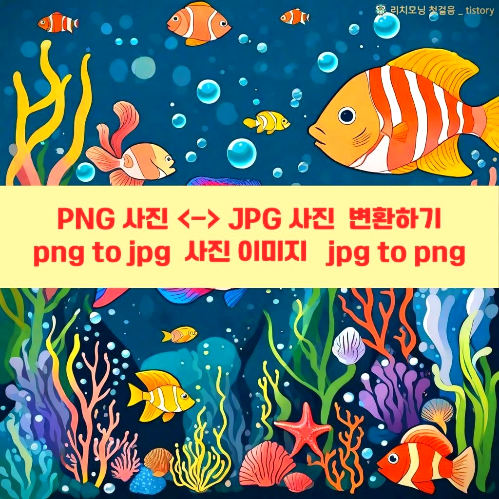 png 사진, jpg 사진 변환하기, png to jpg