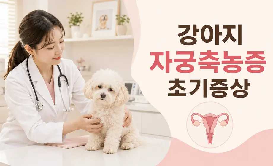 강아지 자궁축농증 초기증상을 진찰하는 수의사와 암컷 강아지