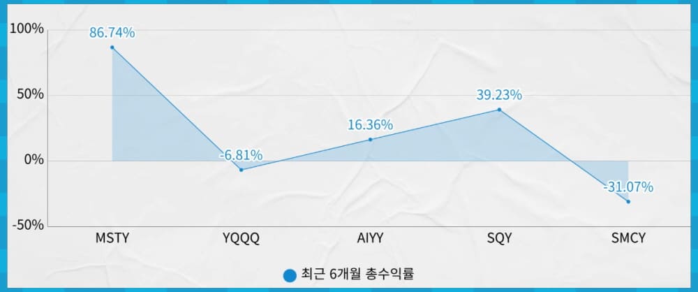 일드맥스 고배당 ETF 그룹D 최근 6개월 총수익률 비교