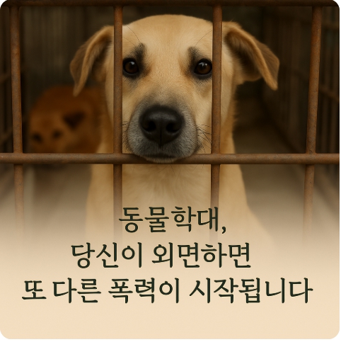 동물학대, 단순한 문제가 아닙니다