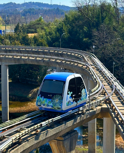 순천만 갈대축제
