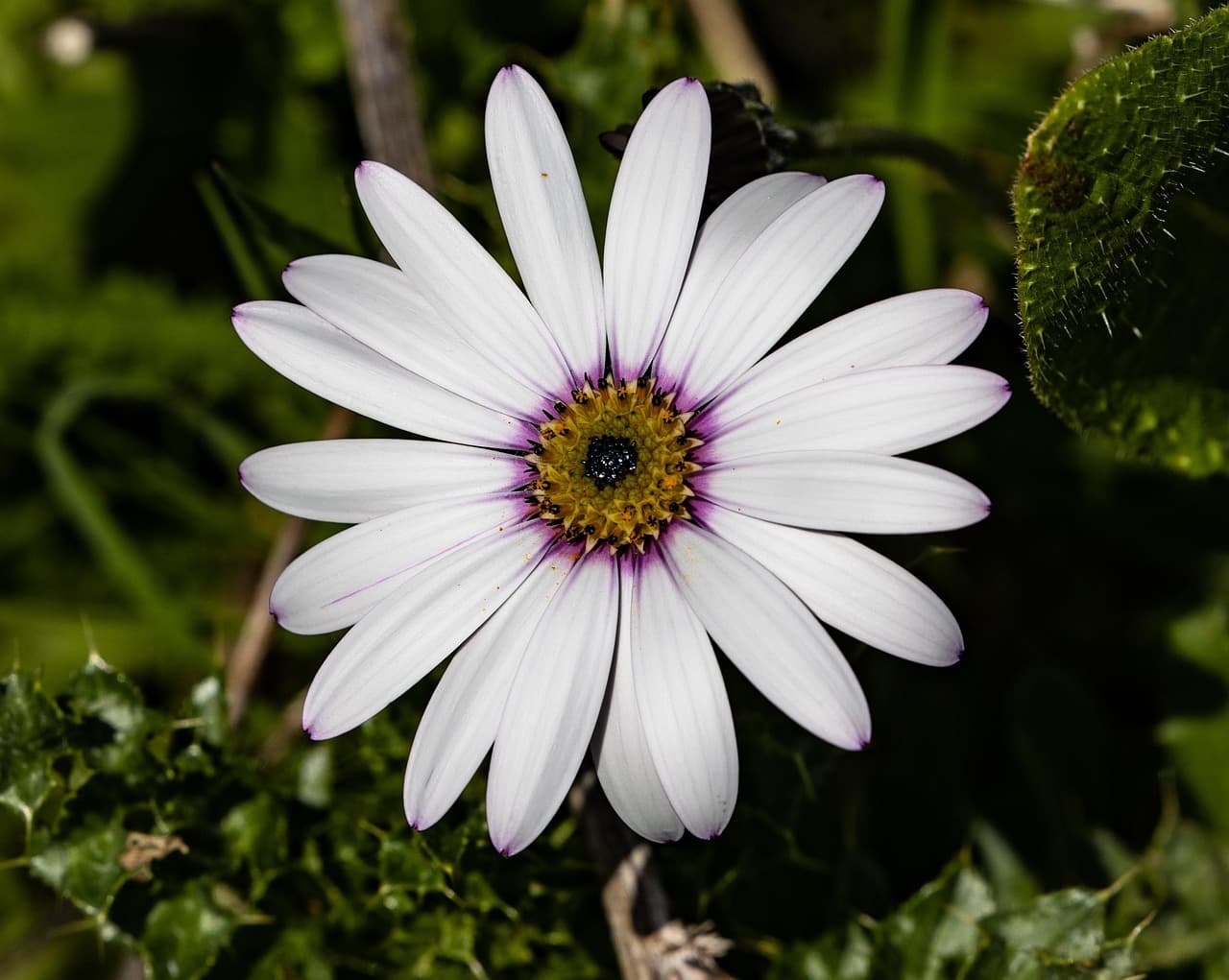 피의자 조서에 서명하지 않은 경우 증거능력 다툼 전략