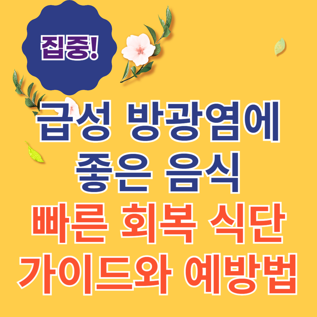 급성 방광염에 좋은 음식 &amp; 빠른 회복 식단 가이드와 예방법