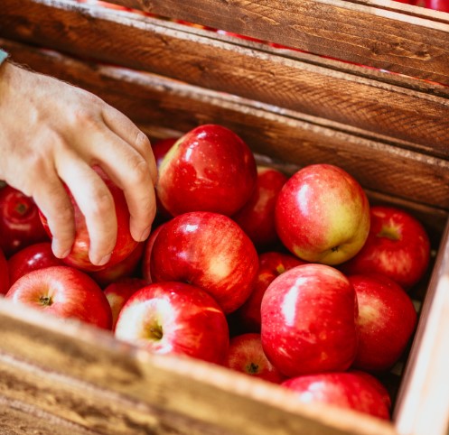 변비에 좋은 음식