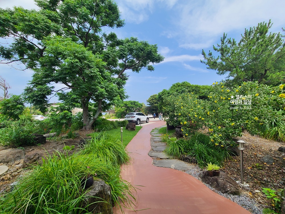 제주 고압 산소캡슐에서 근육피로 풀어주기, 제주 올레 리조트 스파 프로그램 가격