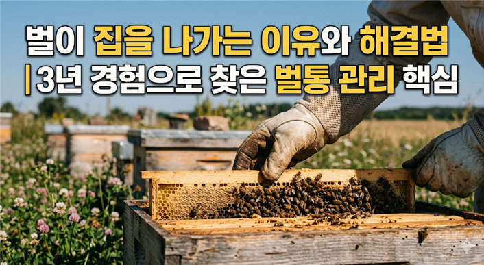 벌이 집을 나가는 이유와 해결법