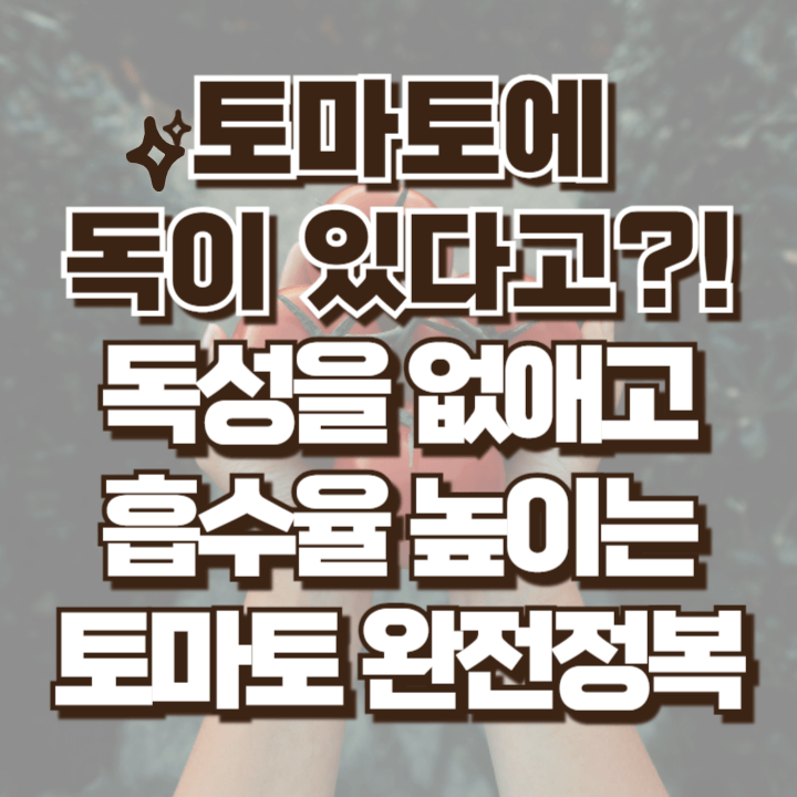 토마토 독성 없애는 방법과 관리 섭취 방법
