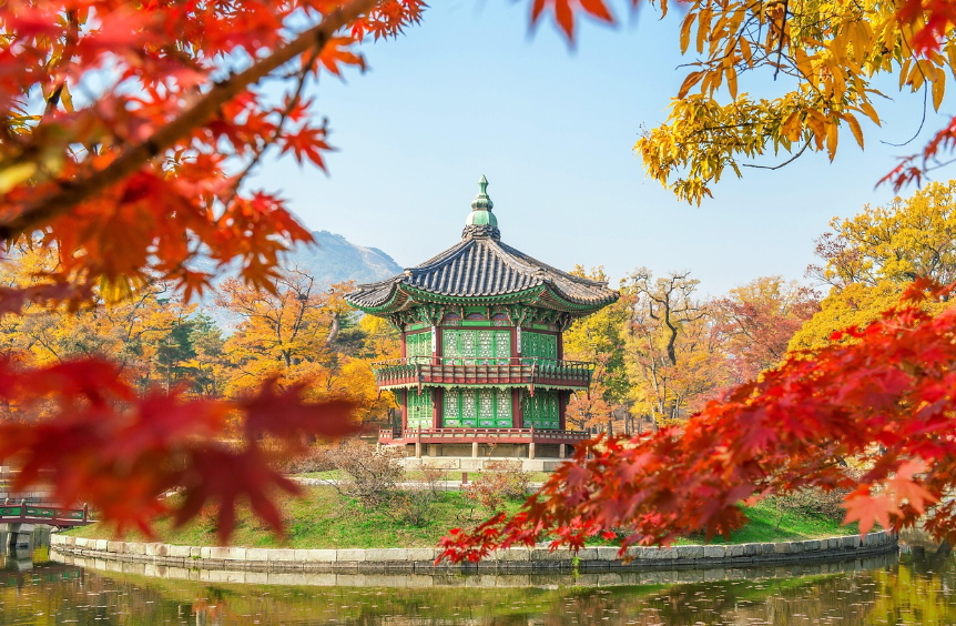 수도권 단풍 명소 정리 - (서울, 경기, 근교)