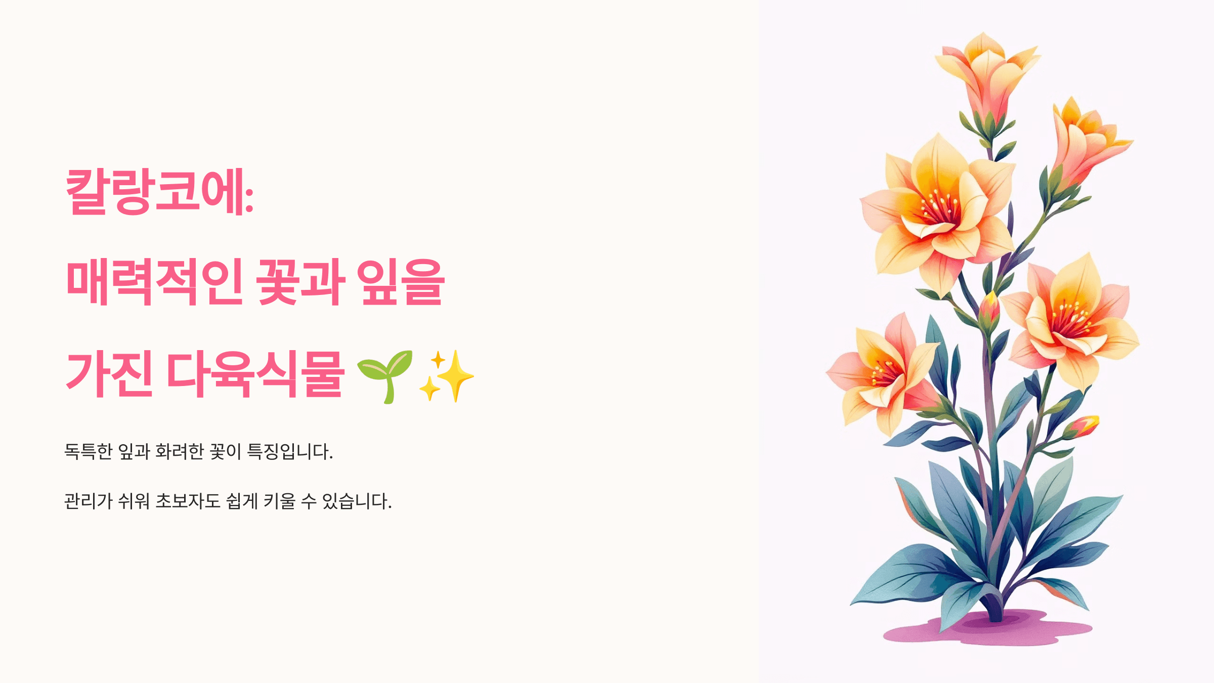 칼랑코에 사진입니다.