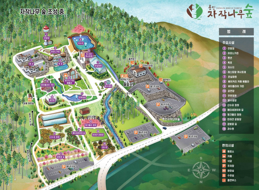 용인 자작나무숲 봄꽃축제 07