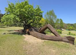 포천 가볼만한 곳