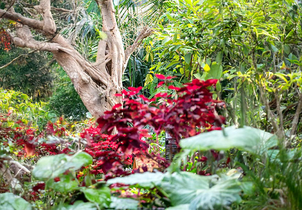 아기자기하게 꾸며 놓은 열대관의 전시물