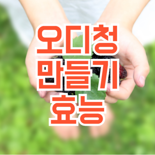 오디청 만들기, 보관법!? 숙성!? 효능!?