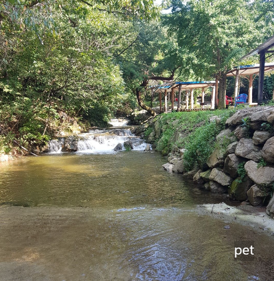 경기-동두천-돈내미캠핑장-예약-방법-애견-동반-가격-주소-시간-후기