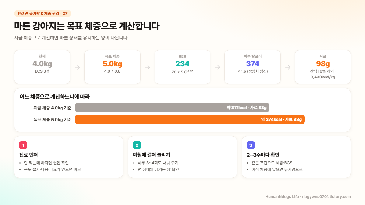 마른 강아지 급여량 도식 — 현재 4.0kg에서 목표 체중 5.0kg 기준으로 하루 374kcal, 사료 98g 계산