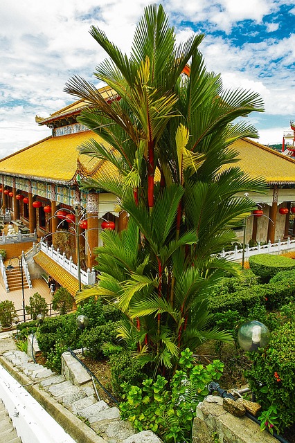 말레이시아 절 사진