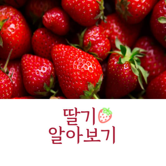 딸기