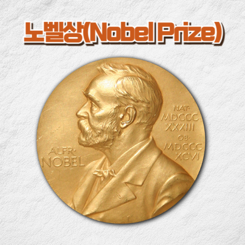 노벨상 종류
