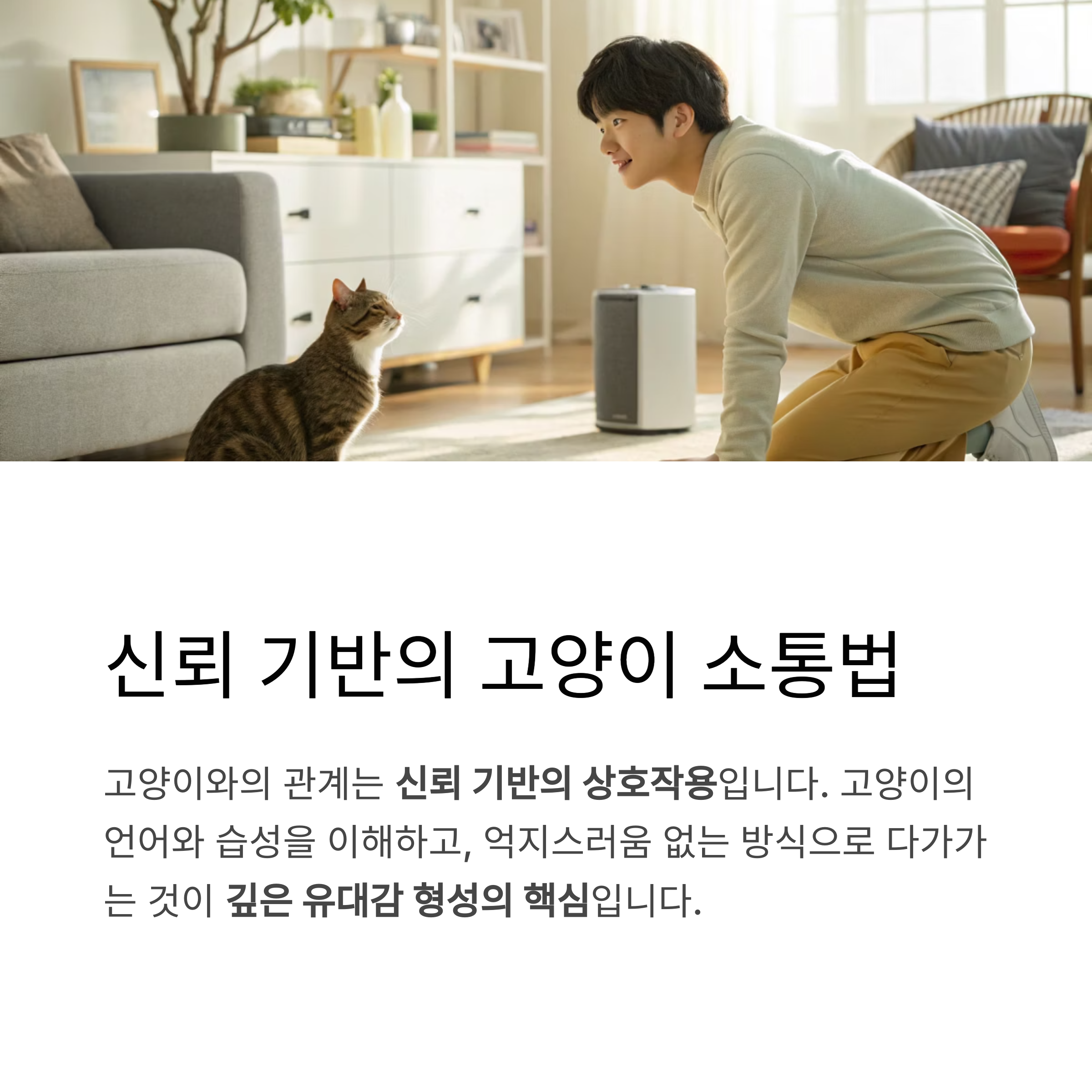 신뢰 기반의 고양이 소통법