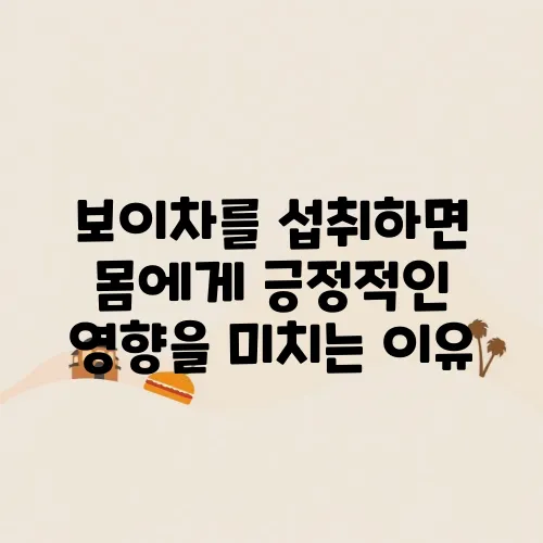 보이차를 섭취하면 몸에게 긍정적인 영향을 미치는 이유