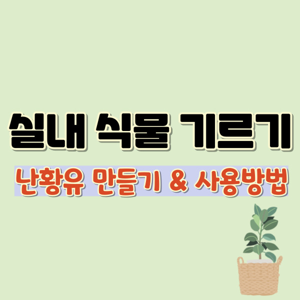실내 식물 기르기-썸네일