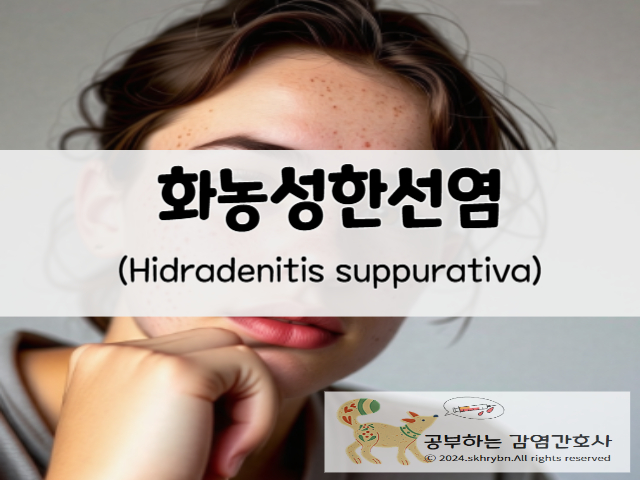 피부 질환_'엉덩이 종기' 화농성 한선염: 원인, 치료, 효과적인 연고 알아보기