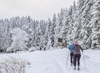겨울철 국내 여행지