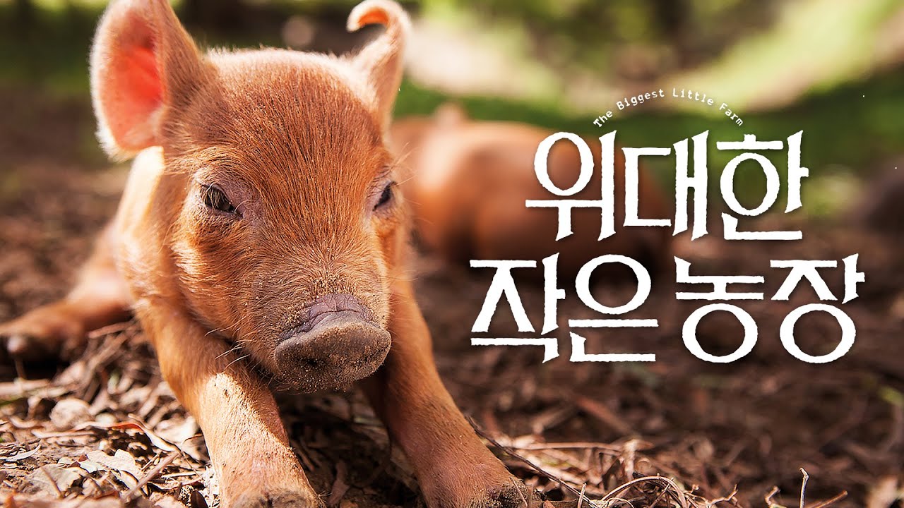 위대한 작은 농장 리뷰