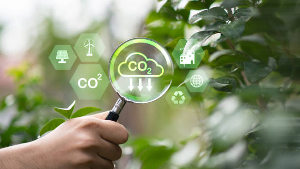 탄소중립포인트 제도의 미래와 개선 방향