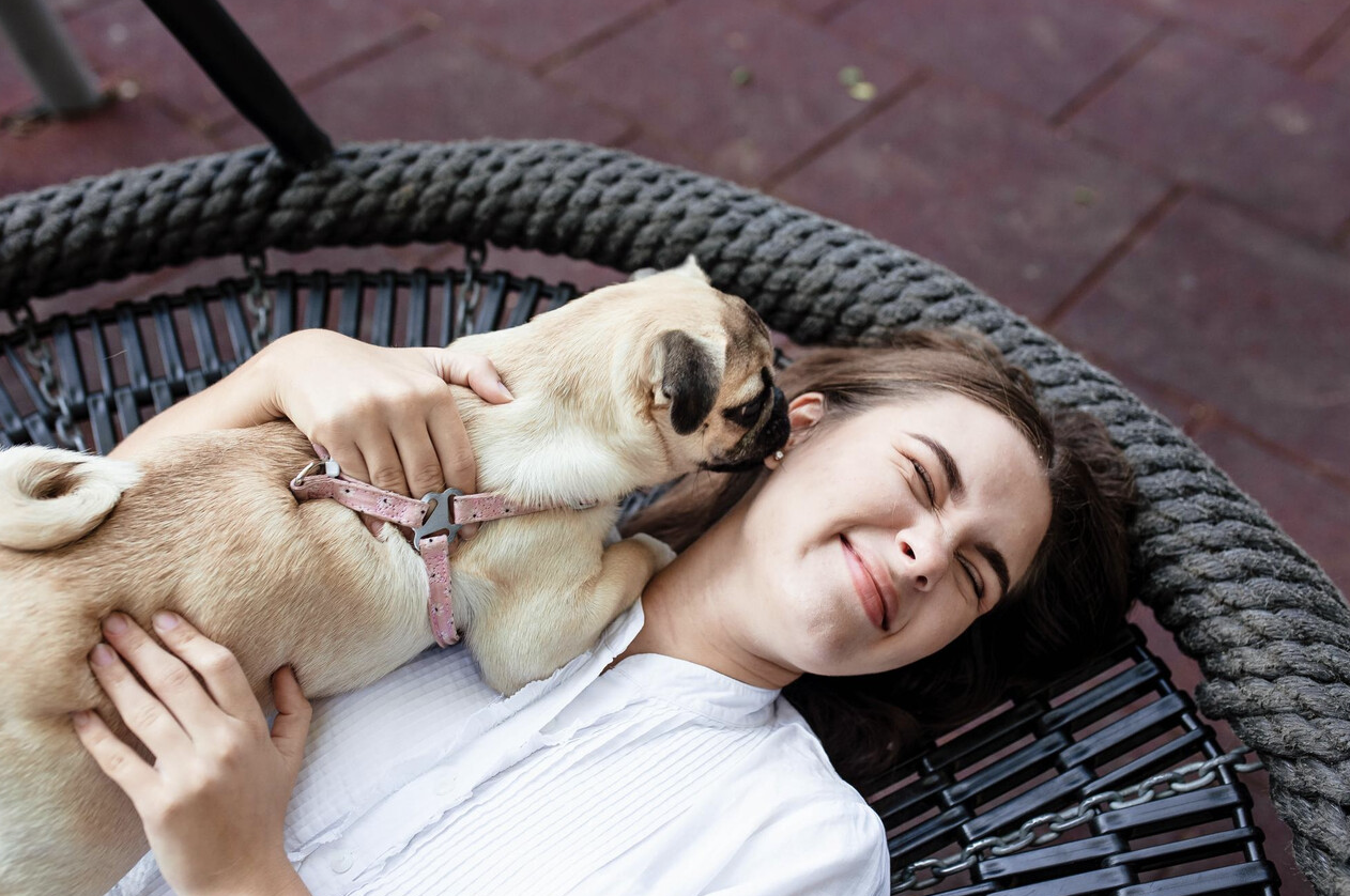 우리 아이와 떠나는 힐링 여행✨ 반려견 동반 가능한 국내 여행지 추천 BEST 5