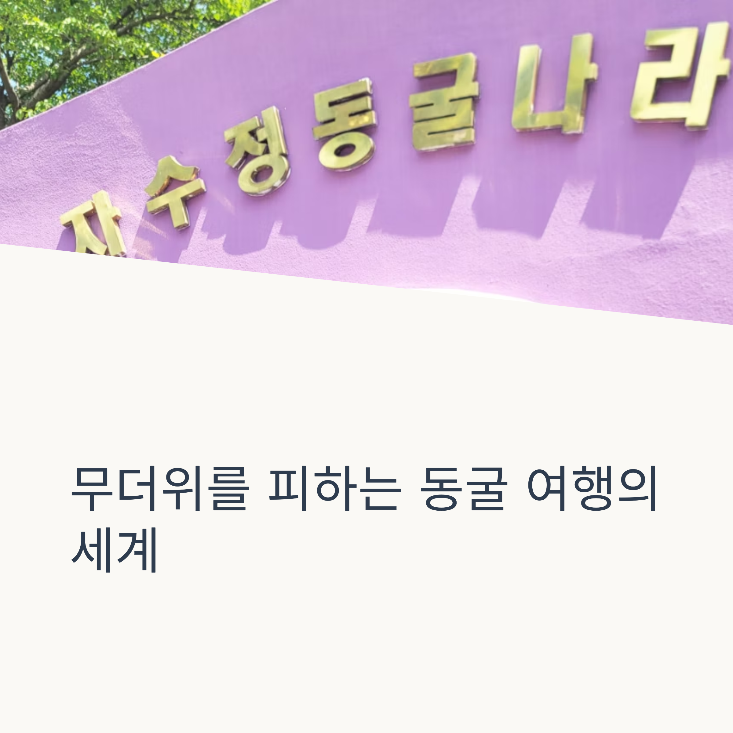 무더위를 피하는 동굴 여행의 세계