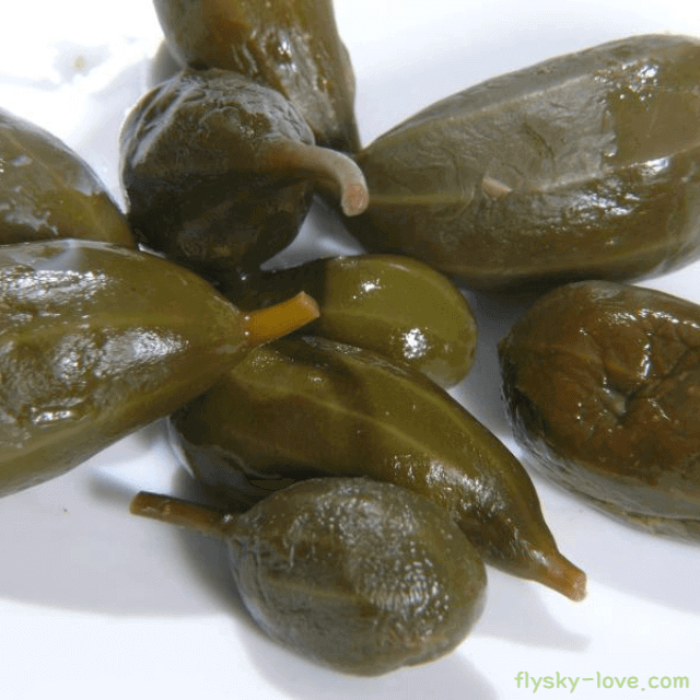 훈제 연어와 단짝인 케이퍼