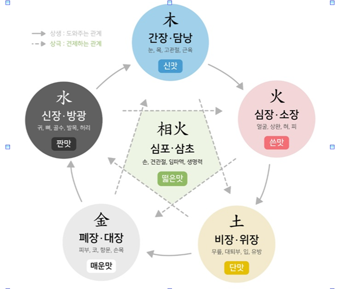 오장육부 건강 (기혈순환, 면역력, 장부균형)
