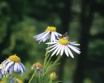아침고요수목원_13