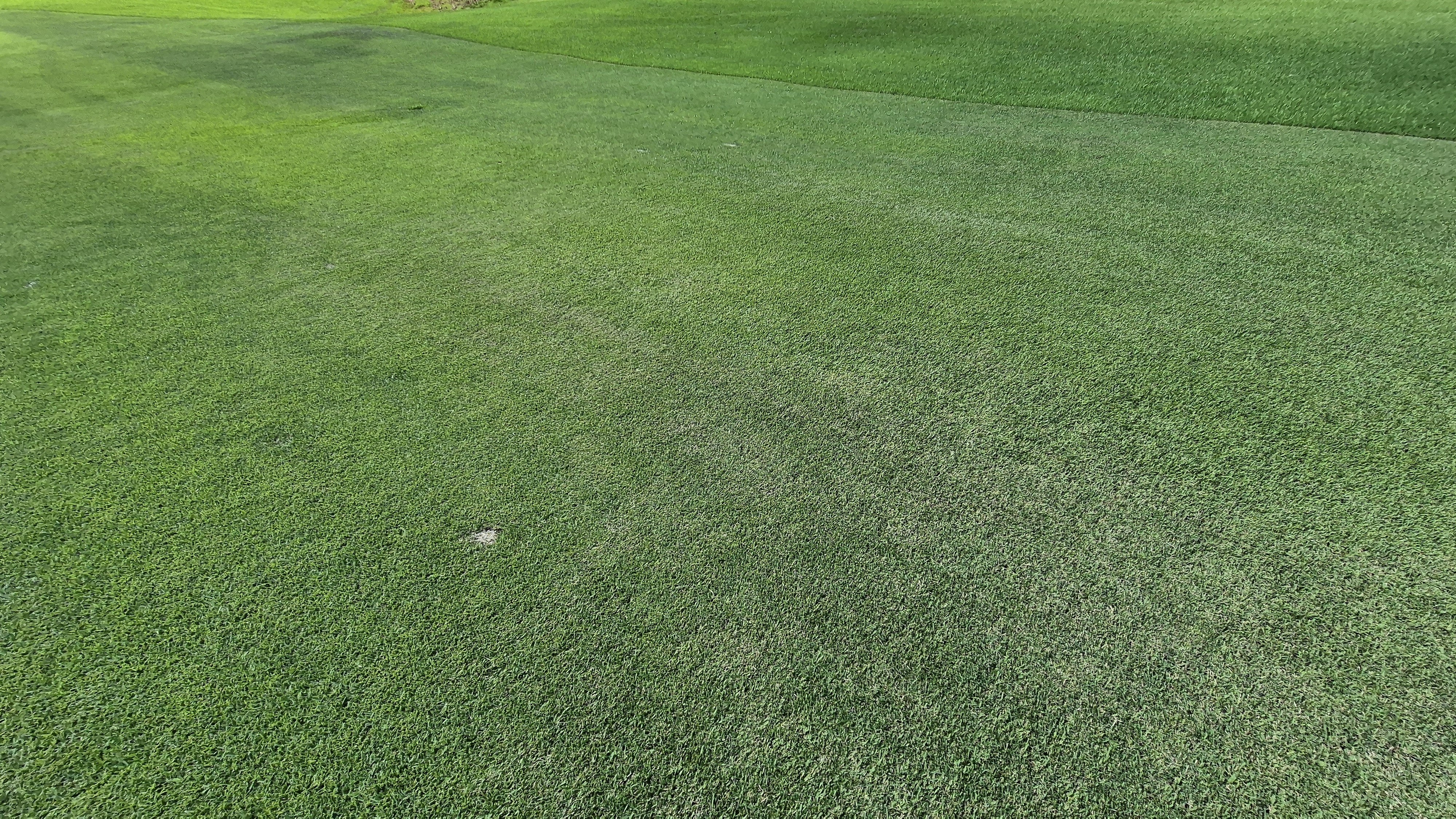 SG 아름다운cc 라운드 후기