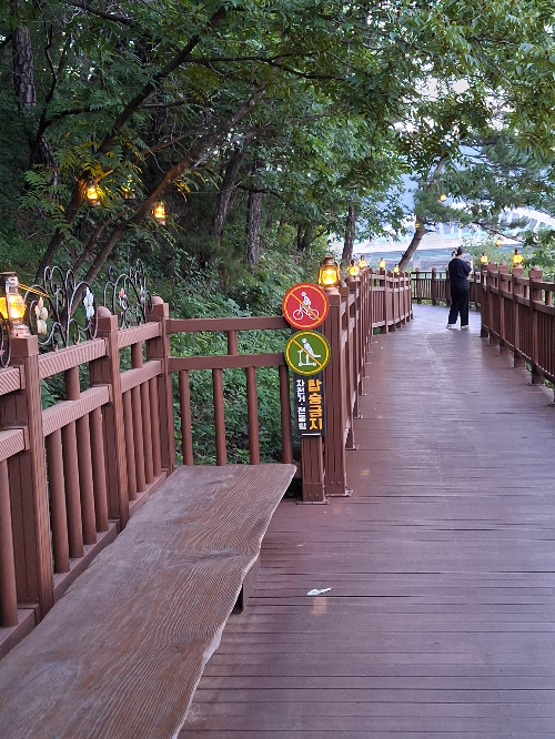 단양 팔경부터 강변 산책까지…내가 단양에서 보고 먹고 놀았던 후기
