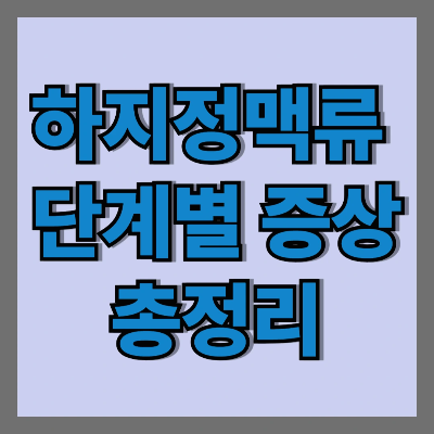 하지정맥류 단계별 증상 총정리