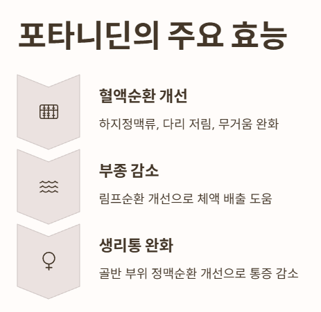 포타니딘 효능