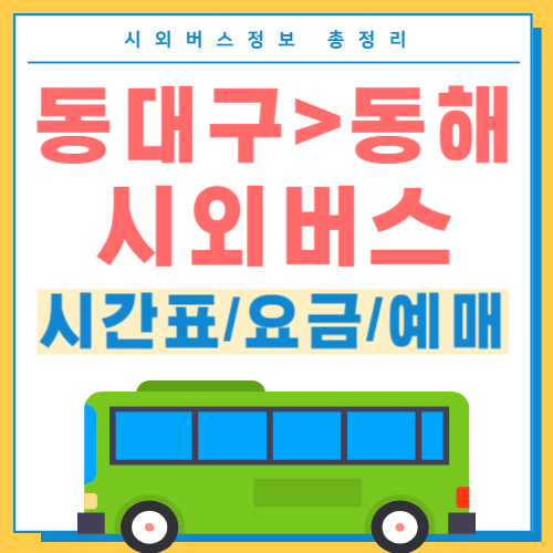 동대구에서 동해 시외버스 시간표 썸네일