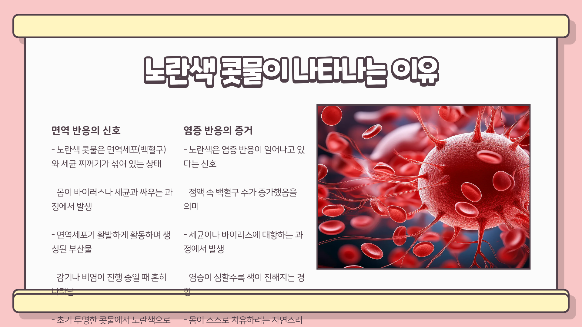 노란색 콧물 절대 가볍게 보면 안 된다? 감기부터 축농증까지 한 번에 정리한 진짜 원인과 대처법