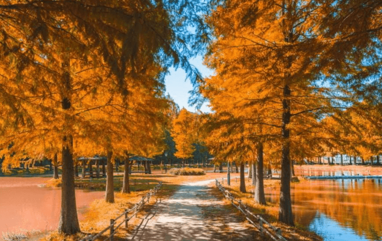 담양 가볼만한곳 베스트10