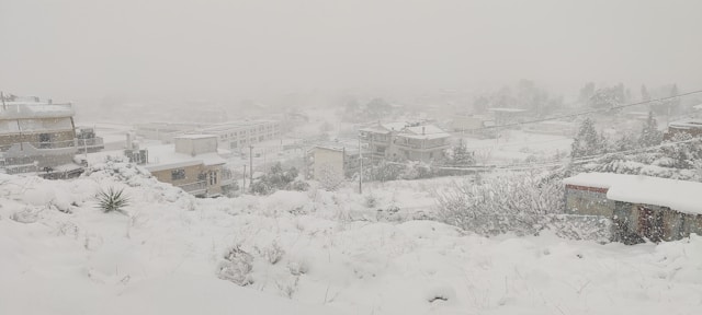 대설특보 택배 지연 조회 실시간 확인 완벽 가이드